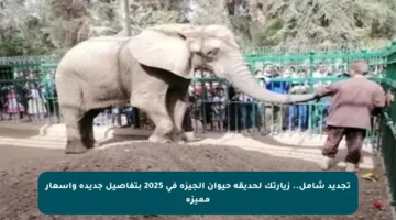 تجديد شامل.. زيارتك لحديقة حيوان الجيزة في 2025 بتفاصيل جديدة وأسعار مميزة